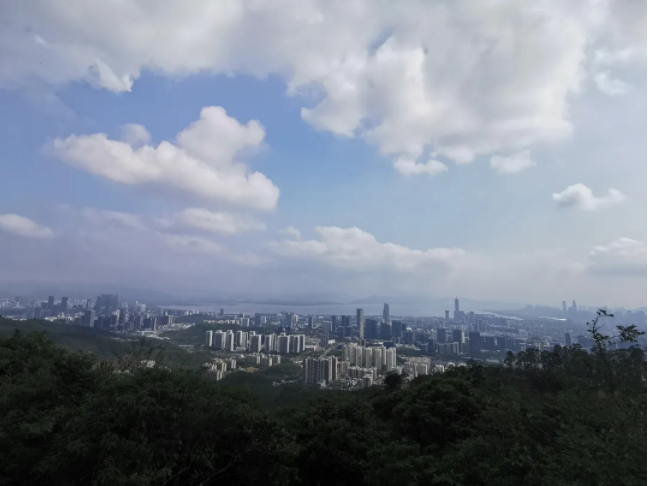 塘朗山风景.png 塘朗山风景.png