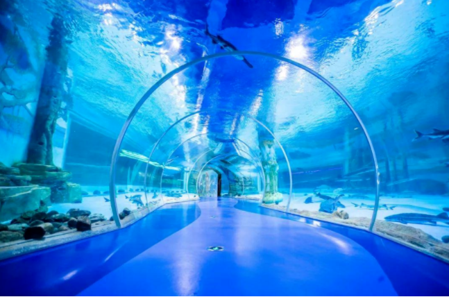 亚克力水下隧道.png