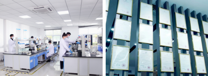 新涛研发与知识产权 新涛研发与知识产权