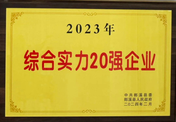 安徽新涛荣获郎溪县“2023年度综合实力20强企业”