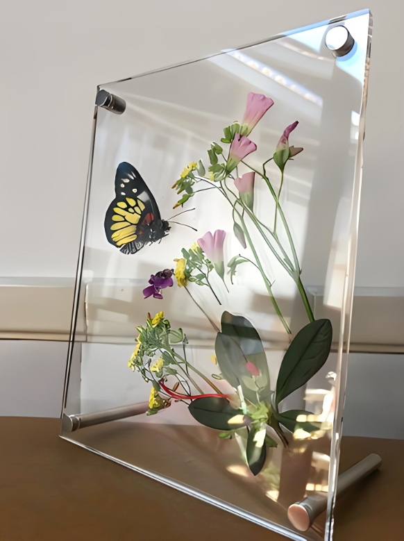 亚克力动植物标本 亚克力动植物标本