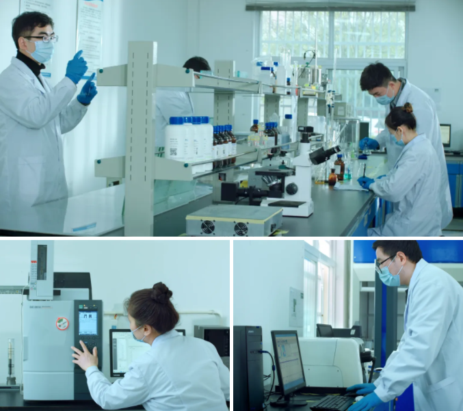 新涛研发实力 新涛研发实力