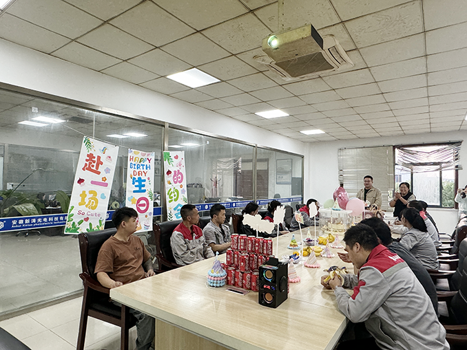 安徽新涛员工生日会 安徽新涛员工生日会