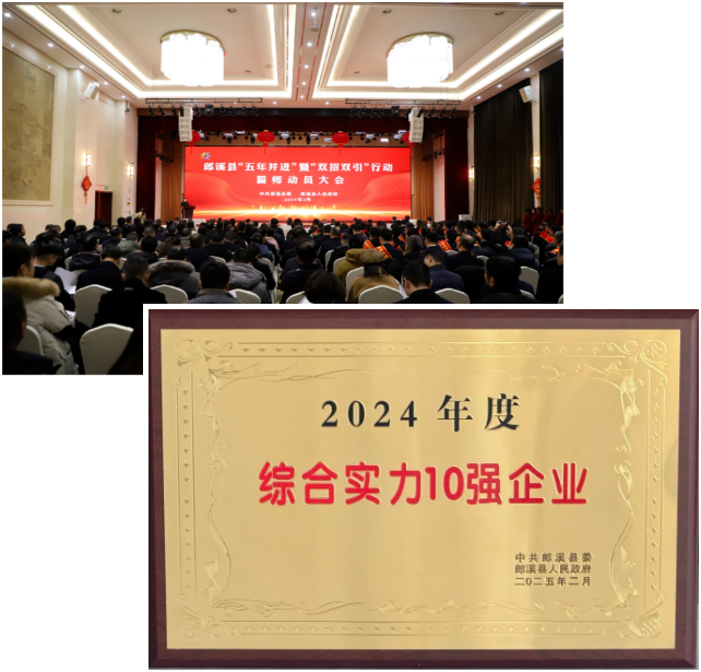 安徽新涛荣膺郎溪县“综合实力10强企业” 安徽新涛荣膺郎溪县“综合实力10强企业”
