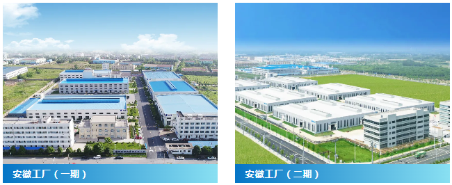 安徽新涛蝉荣膺郎溪县“综合实力10强企业” 安徽新涛蝉荣膺郎溪县“综合实力10强企业”