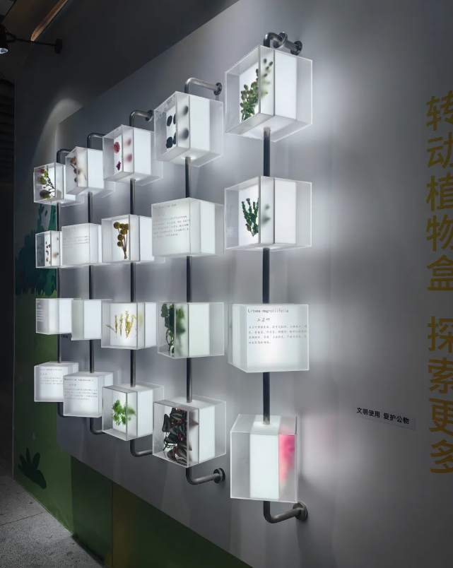 亚克力标本墙 亚克力标本墙