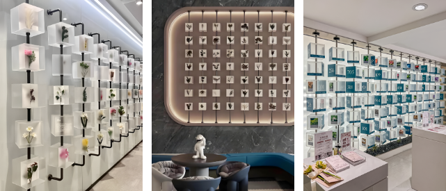 亚克力标本墙 亚克力标本墙