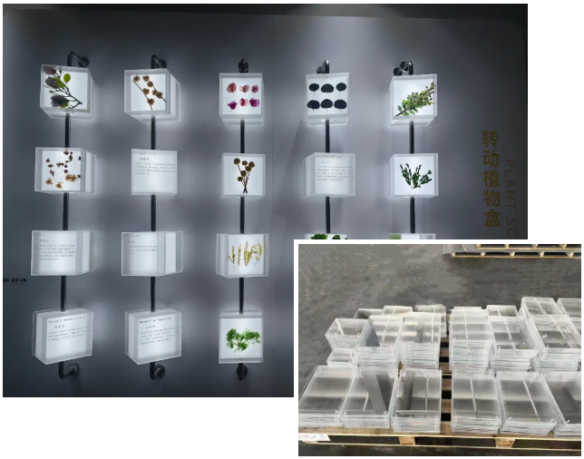 亚克力标本墙 亚克力标本墙