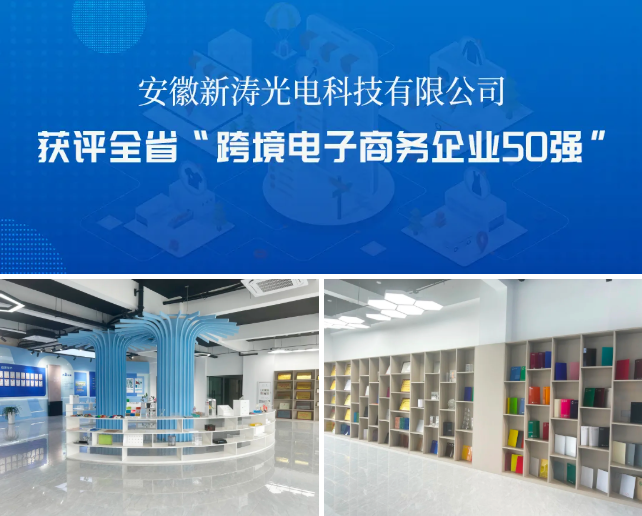 安徽新涛入选全省“跨境电子商务企业50强”